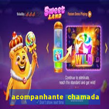 acompanhante chamada de video